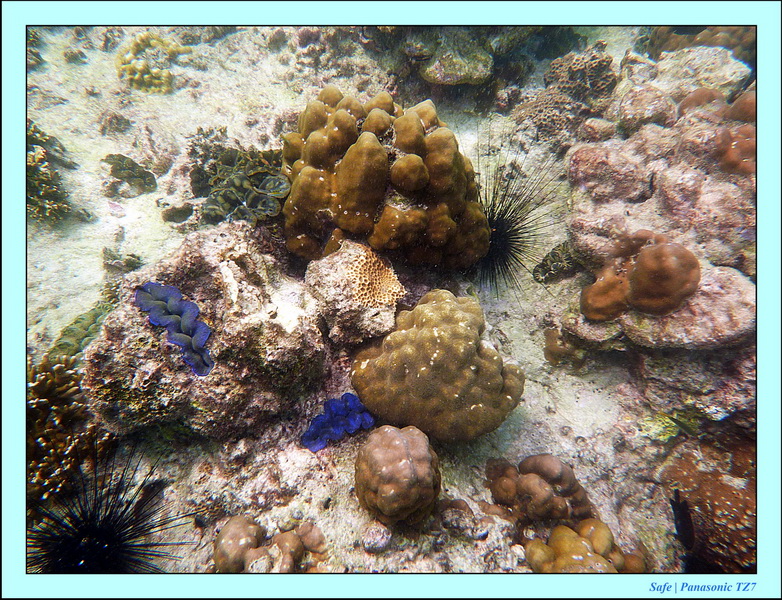 2011 - 07 - Koh Lipe 68